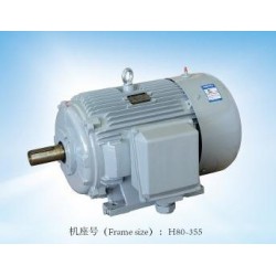 專業(yè)的閥門電機(jī)，哪里可以買到精湛的YE2系列三相異步電動機(jī)