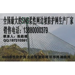 遂寧被動網(wǎng)，新款被動防護網(wǎng)成都有售
