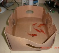 圳鴻防潮展示盒、防水魚蝦盒